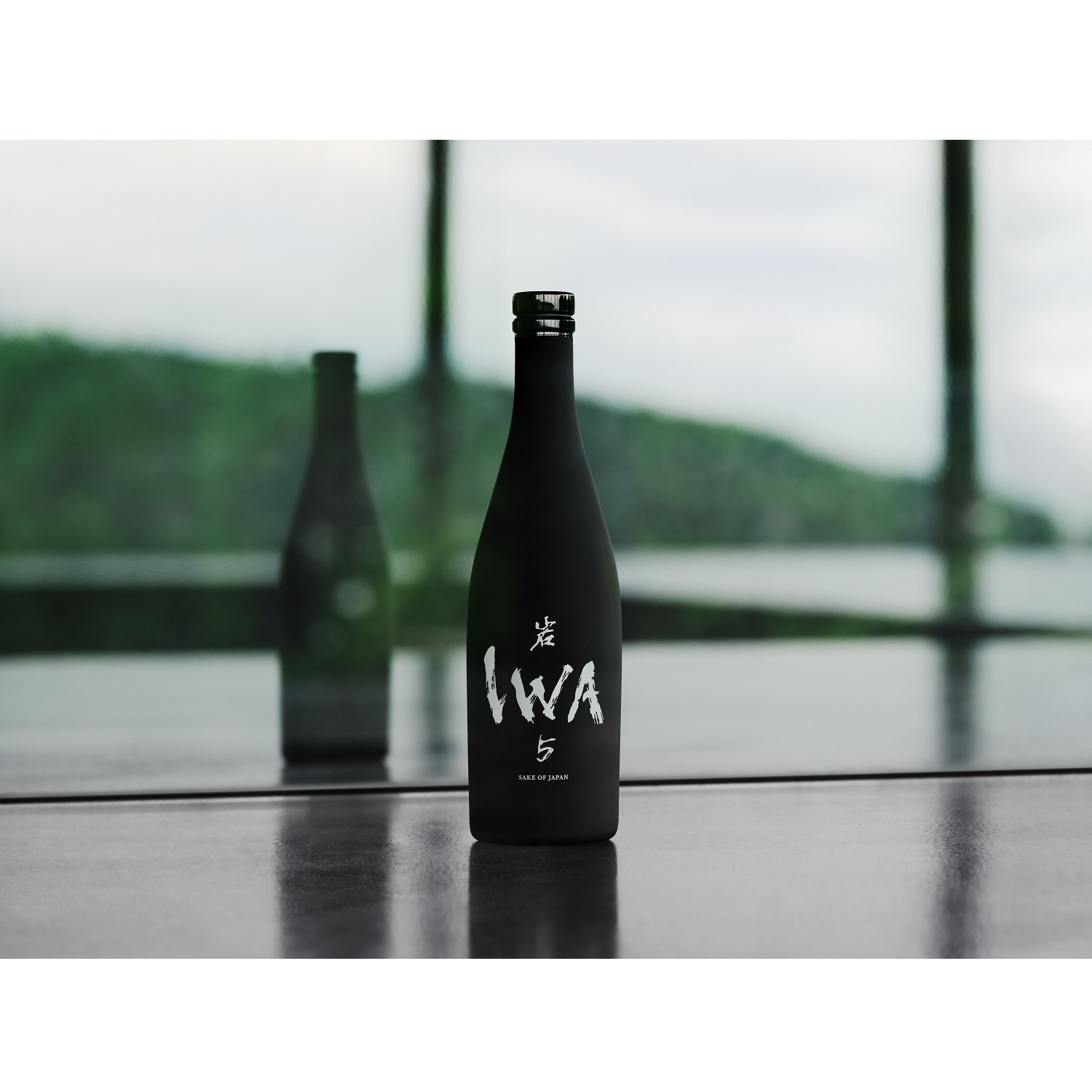 IESAUNA イエサウナ バイオエタノール 5リットル 悪びれ 4缶 