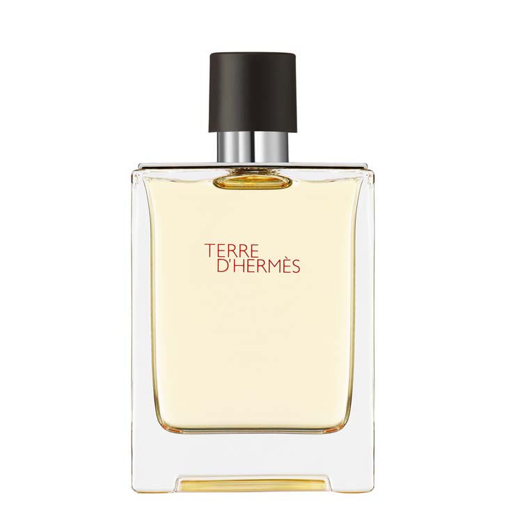 HERMES TERRE D'HERMES 100ml 残9.5割程 Terre d'Hermès, Eau de Toilette, 100 ml