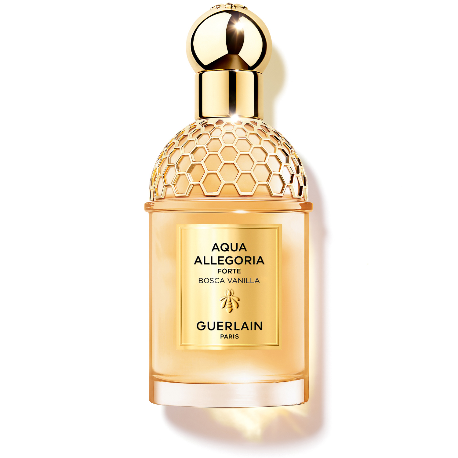 消費税無し アクア アレゴリア フォルテ ボスカ ヴァニラ EDP 75ML 香水(ユニセックス)