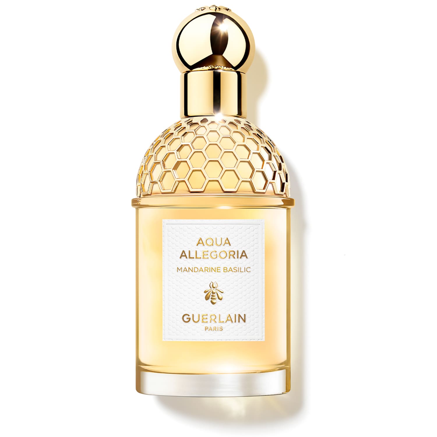 aqua allegoria mandarine basilic